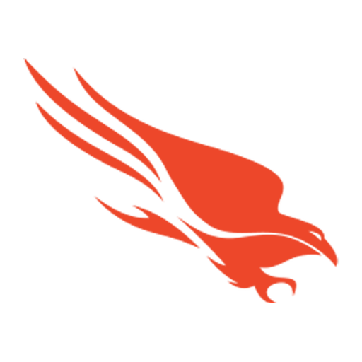 Falcon Security & IT operations