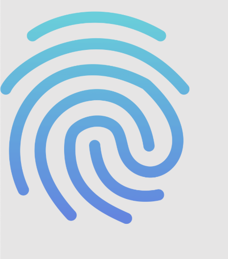 RiskProfiler